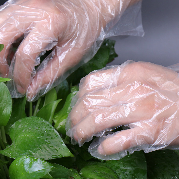 Einweg-Mehrzweck-PE-Handschuhe in Lebensmittelqualität für den Haushalt